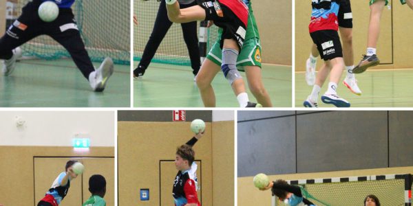 Photo Collage Maker mC-Jgd_2026_02_08_05_08_56